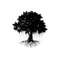 Banyan tree black silhouette illustrations Royalty Free Stock Photo