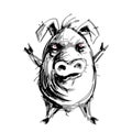 Hand drawn angry pig