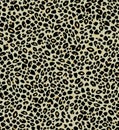 Animal Print Background Black on Taupe