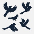 Hand drawn animals silhouette crow bird set Vector illustration.