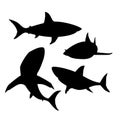 Hand drawn animals silhouette shark fish set Vector illustration. Royalty Free Stock Photo
