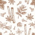 Hand Drawn Anise, Mint, Cinnamon, Clove and Vanilla Vector Seamless Background Pattern. Spices Sketches Card or Cover