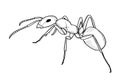 Hand drawn ant sketch. Simple style. Vector isolated