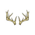 Handrawn antler vector, Hunting logo design inspiration