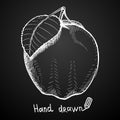 Hand drawn apple on black background. Vector illustration.