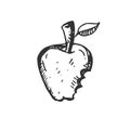 Hand drawn apple fruit icon black. on white background. vector Illustrator. symbol. food