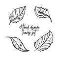 Hand drawn apple leaves set. Collection of fruit trees leaves Royalty Free Stock Photo