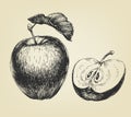 Hand drawn apple Royalty Free Stock Photo
