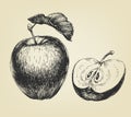 Hand drawn apple