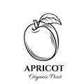 Hand drawn apricot icon.