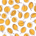 Hand drawn apricots on white background