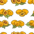 Hand drawn apricots. Vector seamless pattern