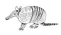 Hand-drawn armadillo animal of America with shadows. Outline style, ink drawing vector illustration on isolated Royalty Free Stock Photo