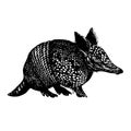 Hand drawn of an armadillo, sketch. Doodle vector illustration Royalty Free Stock Photo