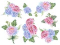 Hand drawn asian chrysanthemum flower blue red pink color foliage and leaf Illustration bouquet wreath on white background