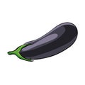 Hand drawn aubergine icon