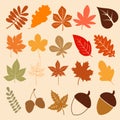 Hand drawn autumm forest leaves elements and decoration,Christmas Elements Decoration