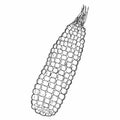 Hand drawn autumn corn doodle colorless illustrations. ute vector objects. Illustrations for poster, background or card