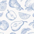 Hand Drawn Autumn Fruits Harvest Vector Seamless Background Pattern. Oranges, Lemon, Apples and Pears Sketches Card or