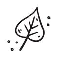 Hand drawn autumn Leaf of birch. Vector illustration in Doodle style. Royalty Free Stock Photo