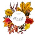 Hand drawn autumn leaf. Vector colorful tree leaves. Fall forest folliage. Maple, oak, chestnut, birch, acorn, ginkgo Royalty Free Stock Photo