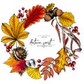 Hand drawn autumn leaf. Vector colorful tree leaves. Fall forest folliage. Maple, oak, chestnut, birch, acorn, ginkgo Royalty Free Stock Photo