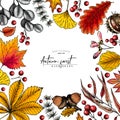 Hand drawn autumn leaf. Vector colorful tree leaves. Fall forest folliage. Maple, oak, chestnut, birch, acorn, ginkgo Royalty Free Stock Photo