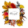 Hand drawn autumn leaf. Vector colorful tree leaves. Fall forest folliage. Maple, oak, chestnut, birch, acorn, ginkgo Royalty Free Stock Photo