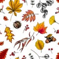 Hand drawn autumn leaf. Vector seamless pattern of tree leaves. Fall forest folliage. Maple, oak, chestnut, birch, acorn