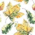 Hand drawn autumn leaves Royalty Free Stock Photo