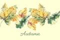 Hand drawn autumn leaves Royalty Free Stock Photo