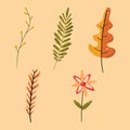 autumn leaves set. hand drawn autumn leaves elements green, orange, yellow Royalty Free Stock Photo