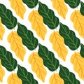 Hand drawn autumn leaves seamless pattern on white background. Yellow and green leaf Royalty Free Stock Photo