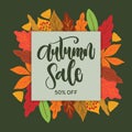 hand drawn autumn sale background vector design Royalty Free Stock Photo