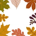 Hand drawn Autumn seasons holiday doodles with colorful leaves in form of circle isolated on white. Vector illustration Royalty Free Stock Photo