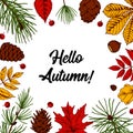 Hand drawn autumn square banner with hand drawn leaves, cones, Christmas tree branches isolated on white. Space for text. Vector Royalty Free Stock Photo