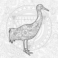 Hand drawn avian doodle animal paisley adult stress release coloring page zentangle