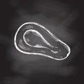 Hand-drawn avocado sketch on chalkboard background. Vintage drawing of ripe avocado half. Vector black ink outline food.