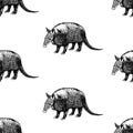 Hand drawn background with armadillo. Vector seamless pattern. Royalty Free Stock Photo