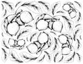 Hand Drawn Background of Bacupari or Garcinia Gardneriana Fruits