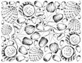 Hand Drawn Background of Buah Dabai and Copao Cactus Fruits