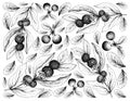 Hand Drawn Background of Ceylon Gooseberries and Bog Bilberries