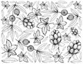 Hand Drawn Background of Cloudberry and Cabeludinha Fruits