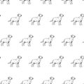 Hand drawn background with dog labrador. Vector seamless pattern.