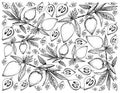 Hand Drawn Background of Fresh Canistel Fruits