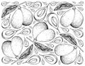 Hand Drawn Background of Fresh Marian Plums