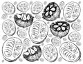 Hand Drawn Background of Fresh Monk Fruits Royalty Free Stock Photo