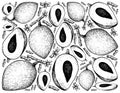 Hand Drawn Background of Mamey Sapote Fruits