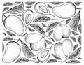 Hand Drawn Background of Mango and Marian Plum Fruits