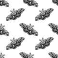 Hand drawn background with moth. Vector seamless pattern with bloodworm. Royalty Free Stock Photo